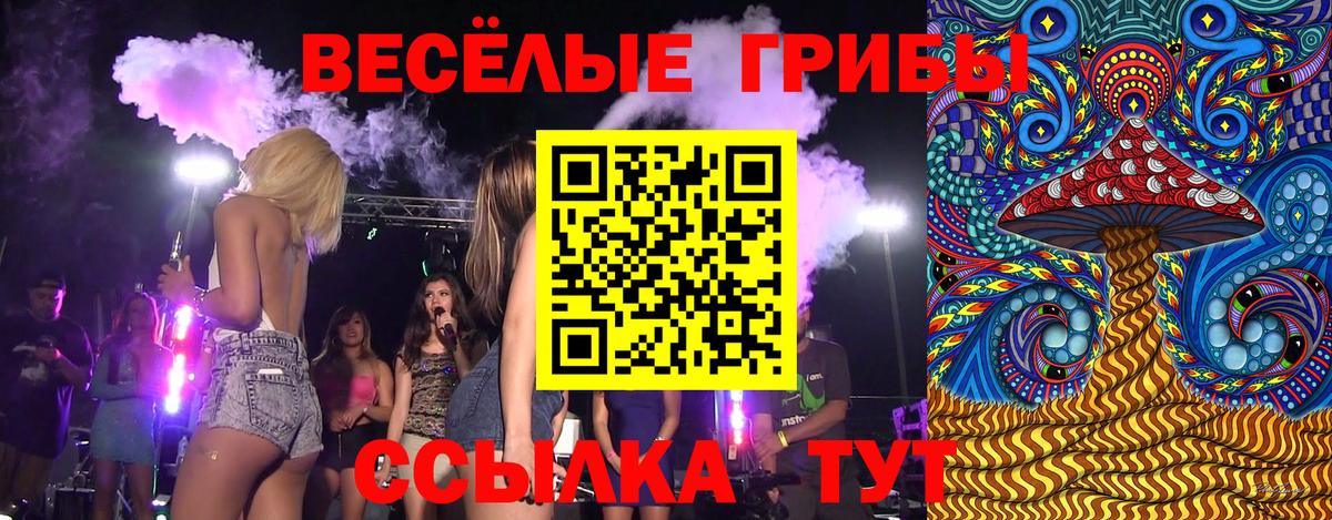 Галлюциногенные грибы Psilocybine cubensis Соль-Илецк