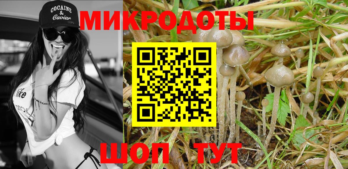 Псилоцибиновые грибы Psilocybine cubensis  Вход с VPN  Соль-Илецк 